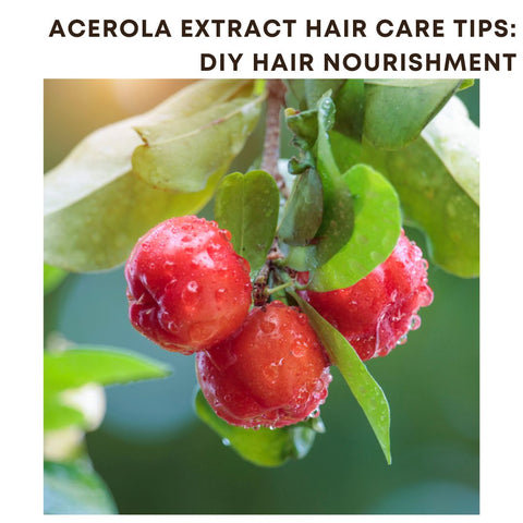 Acerola Extract Hair Care Tips: DIY Hair Nourishment