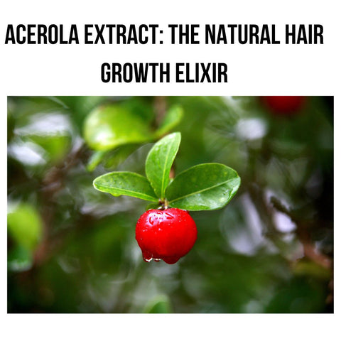 Acerola Extract: The Natural Hair Growth Elixir