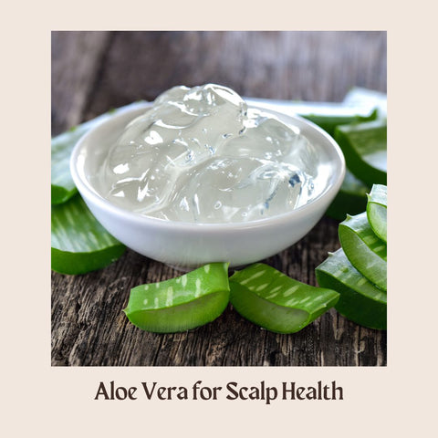 Aloe Vera for Scalp Health