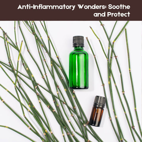 Anti-Inflammatory Wonders: Soothe and Protect