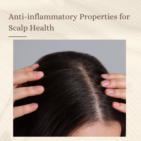 Anti-inflammatory Properties for Scalp Health