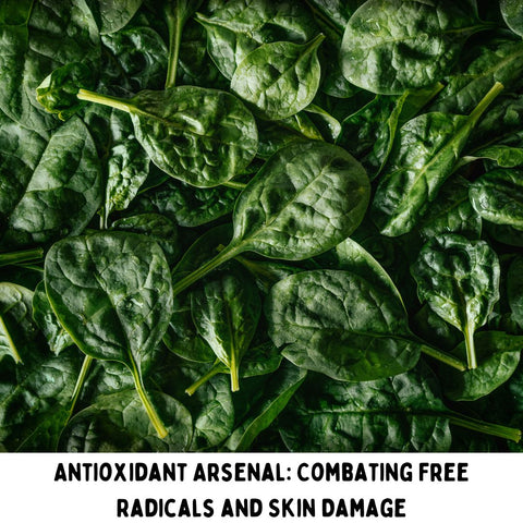 Antioxidant Arsenal: Combating Free Radicals and Skin Damage