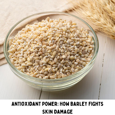 Antioxidant Power: How Barley Fights Skin Damage