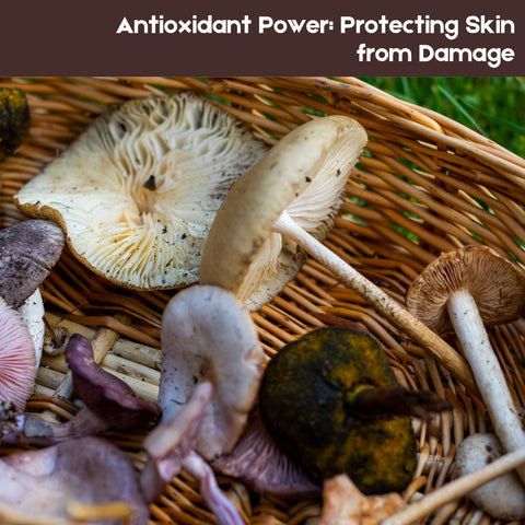 Antioxidant Power: Protecting Skin from Damage