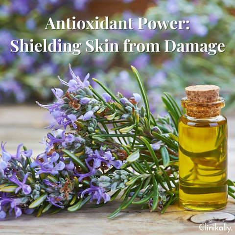 Antioxidant Power: Shielding Skin from Damage