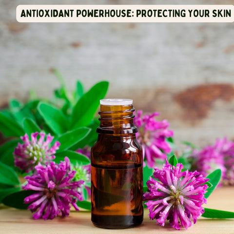 Antioxidant Powerhouse: Protecting Your Skin