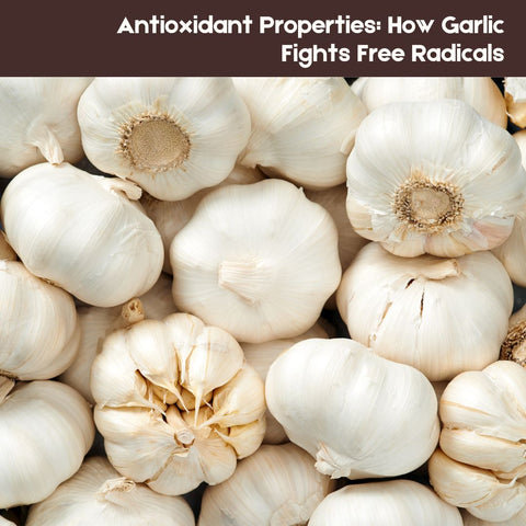 Antioxidant Properties: How Garlic Fights Free Radicals