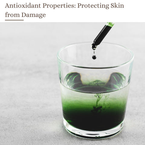 Antioxidant Properties: Protecting Skin from Damage