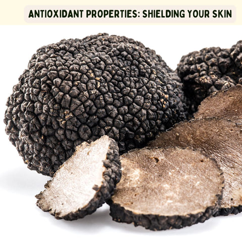 Antioxidant Properties: Shielding Your Skin