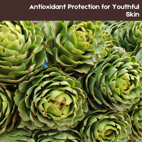 Antioxidant Protection for Youthful Skin