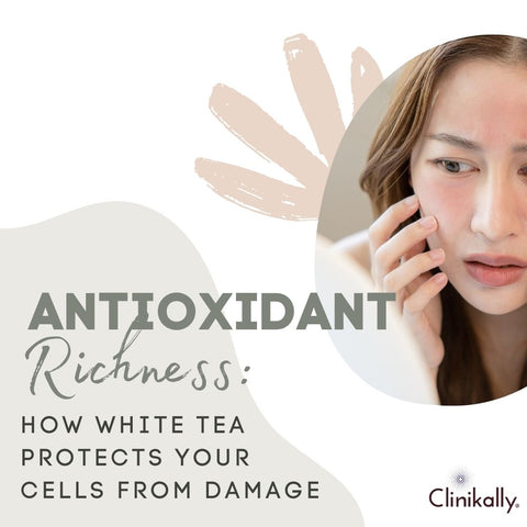 Antioxidant Richness: How White Tea Protects Your Cells from Damage