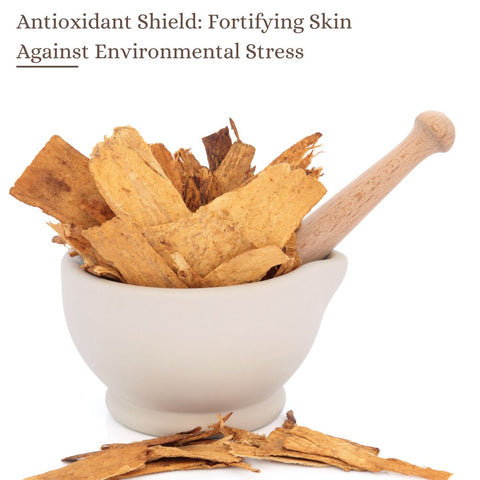 Antioxidant Shield: Fortifying Skin Against Environmental Stress