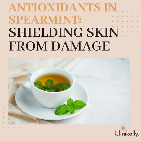 Antioxidants in Spearmint: Shielding Skin from Damage