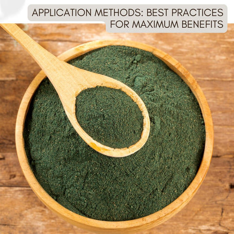 Application Methods: Best Practices for Maximum Benefits
