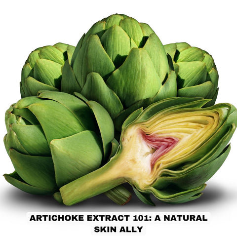 Artichoke Extract 101: A Natural Skin Ally