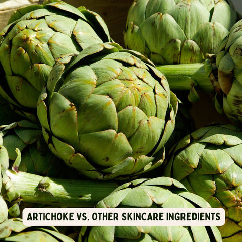 Artichoke vs. Other Skincare Ingredients