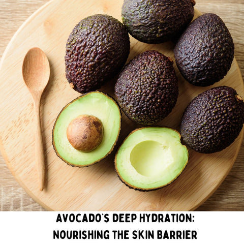 Avocado’s Deep Hydration: Nourishing the Skin Barrier