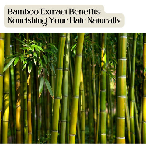 Bamboo Extract Benefits: Nourishing Your Hair Naturally