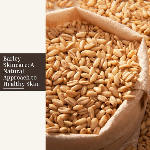 Barley Skincare: A Natural Approach to Healthy Skin