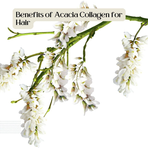 Benefits of Acacia Collagen for Hair