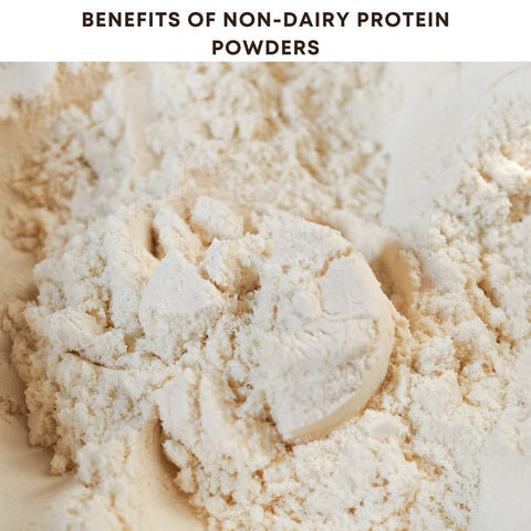 Benefits of Non-Dairy Protein Powders