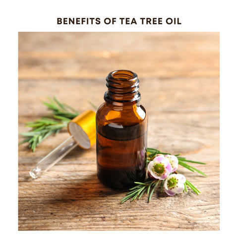 Benefits of Tea Tree Oil