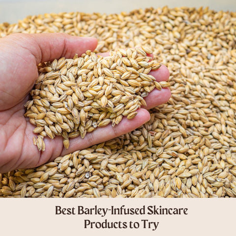 Best Barley-Infused Skincare Products to Try