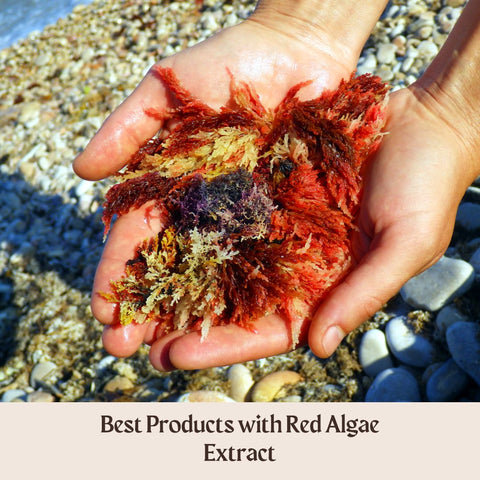 Best Products with Red Algae Extract