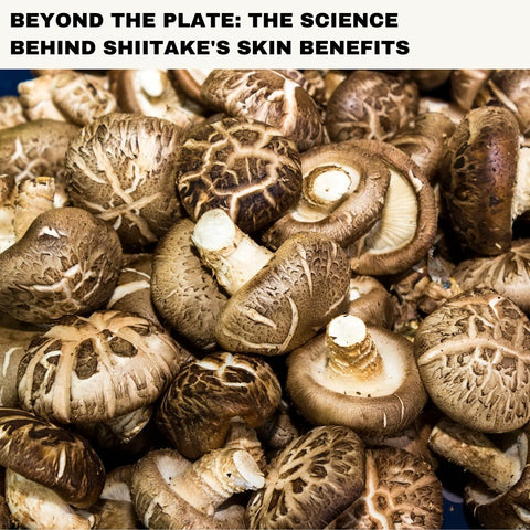 Beyond the Plate: The Science Behind Shiitake's Skin Benefits