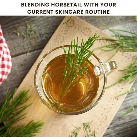 Blending Horsetail with Your Current Skincare Routine