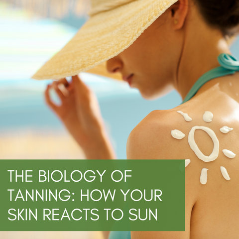 The Biology of Tanning: How Your Skin Reacts to Sun