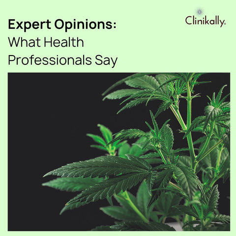 Expert Opinions: What Health Professionals Say