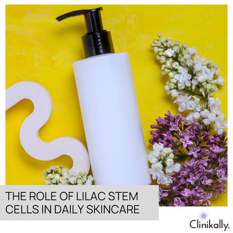 The Role of Lilac Stem Cells in Daily Skincare