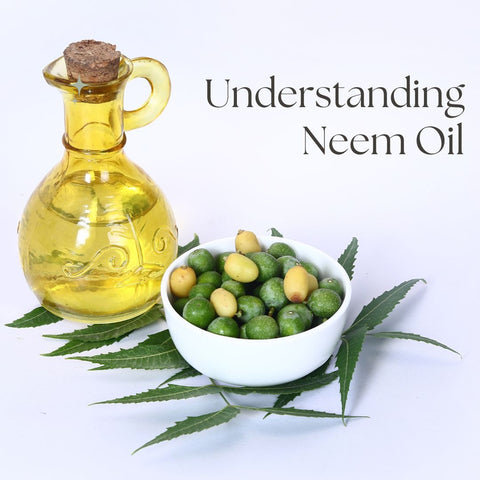 Understanding Neem Oil