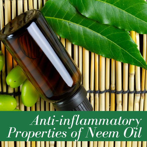 Anti-inflammatory Properties of Neem Oil