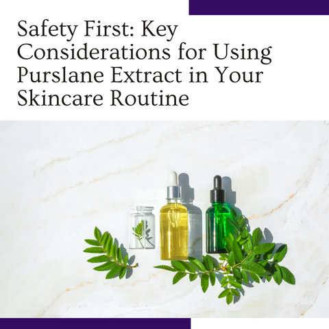 Safety First: Key Considerations for Using Purslane Extract in Your Skincare Routine