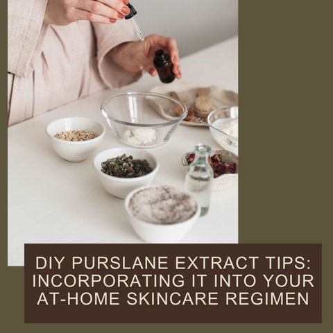 Professional Purslane Extract Treatments: What Dermatologists Recommend