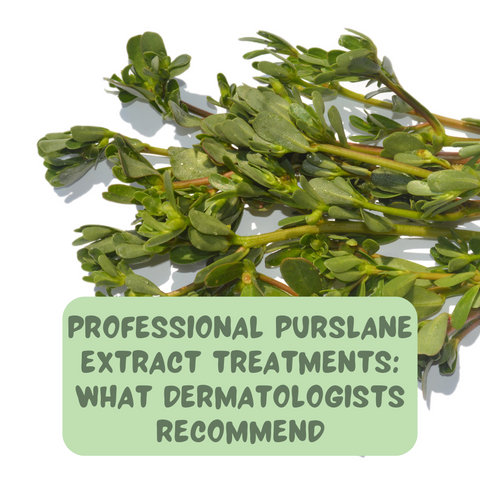 Professional Purslane Extract Treatments: What Dermatologists Recommend