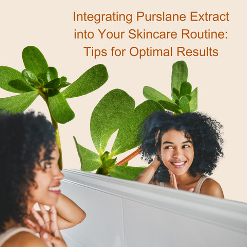 Integrating Purslane Extract into Your Skincare Routine: Tips for Optimal Results