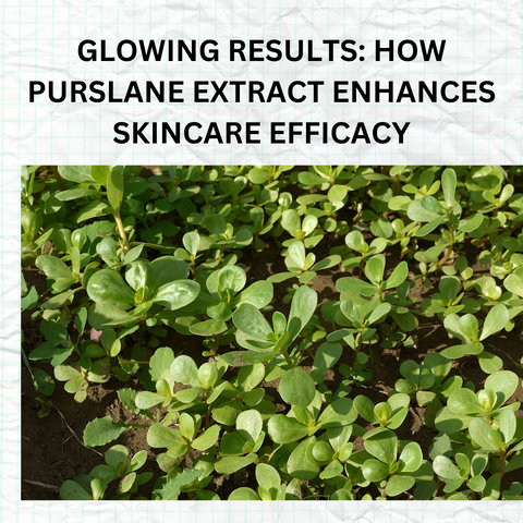 Glowing Results: How Purslane Extract Enhances Skincare Efficacy