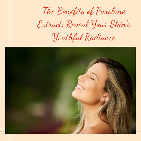 The Benefits of Purslane Extract: Reveal Your Skin's Youthful Radiance