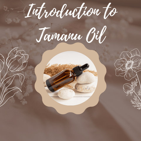 Introduction to Tamanu Oil