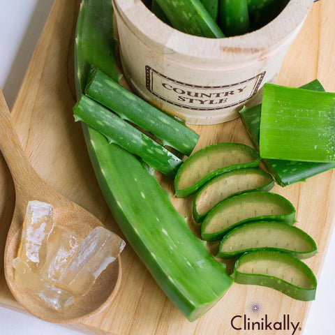 Aloe Vera