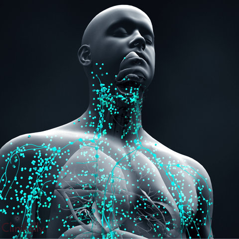 The Importance of Zinc: Nurturing Vital Functions and Health Benefits