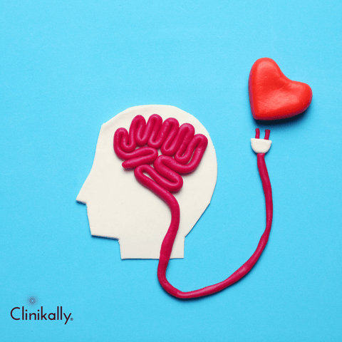 Heart and Brain Health: Nuts' Impact on Cardiovascular and Cognitive Well-Being