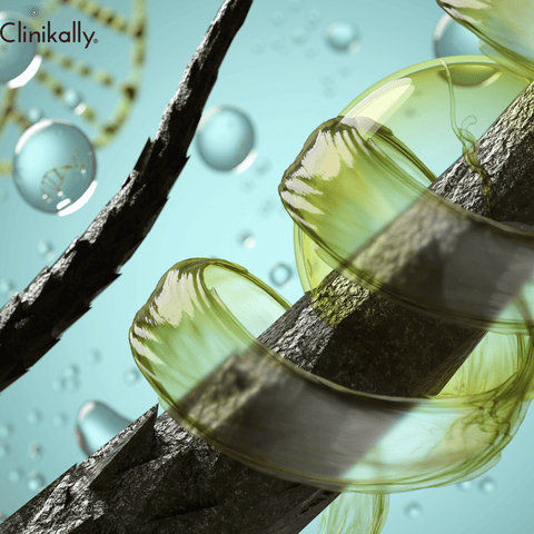 Understanding the Hair Growth Cycle