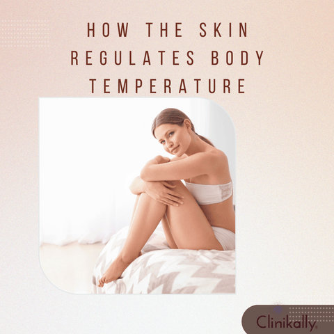 How the Skin Regulates Body Temperature