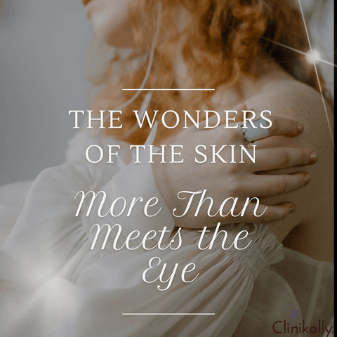 The Wonders of the Skin: More Than Meets the Eye