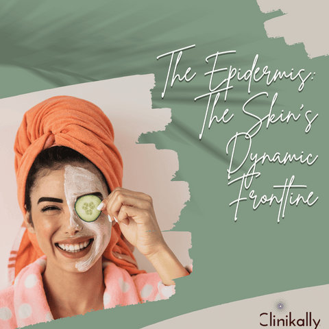The Epidermis: The Skin’s Dynamic Frontline