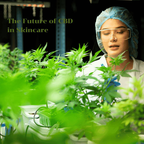 The Future of CBD in Skincare